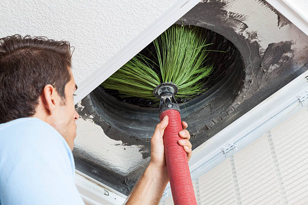 Best Air Duct Cleaning Near Me  in Wyong, MI